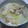 みあ's cooksnap of when they made さっぱり大根と鶏もも肉のゆずコンソメ煮☆.