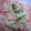 ゆみにゃむ's cooksnap of when they made アボカドとエビのマヨわさび醤油和え.