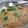 cream1987's cooksnap of when they made ☆簡単！きのこのトマトクリームパスタ☆.