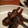 yuK:'s cooksnap of when they made イワシのプーリア風.