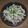 叡山菫's cooksnap of when they made みつばのわさび醤油和え.