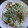 taisho0805's cooksnap of when they made お好み焼き我が家風.
