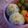 ijumama's cooksnap of when they made レンジで簡単♪薄い卵焼き♪.