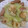 aki1026aa's cooksnap of when they made 鶏肉と白菜の蒸し煮.