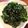 マーポン's cooksnap of when they made ホウレン草のごまナムル.
