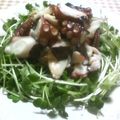 ねっちゃんっ's cooksnap of when they made ***タコとかいわれ大根★サラダ***.