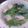 YUMIKOMUGI's cooksnap of when they made <diet>セリと鶏ささみの春雨煮.