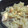 にままみ's cooksnap of when they made 簡単！鮭の炊き込みご飯.