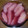 れみ38's cooksnap of when they made ◇洋梨のこんぽーと◇.