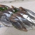 きらり流れ星's cooksnap of when they made サンマ　刺身.