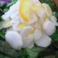 ひろやぎさん's cooksnap of when they made 柚子と香菜の根菜香りサラダ.