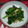 花いちもん's cooksnap of when they made ほうれん草としめじの梅和え.