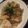 サトモユリア's cooksnap of when they made 大根と豚肉の味噌バター炒め.
