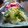 kikikko's cooksnap of when they made 簡単！白菜消費✿白菜の漬物.
