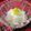 まな竜's cooksnap of when they made 大根の甘酢漬け（柚子風味）.