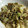おかゆとおから's cooksnap of when they made 白菜と豚肉の炒めもの.