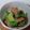 ぽっぽぺぺ's cooksnap of when they made チンゲンサイと豚バラの中華炒め.