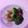 プンプン庵's cooksnap of when they made ブロッコリーの梅おかか和え.