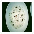 salymama's cooksnap of when they made きのこのミルクスープ.