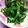 グミっこ's cooksnap of when they made 子供も食べれちゃう♪ピーマンの塩昆布あえ.