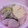 プンプン庵's cooksnap of when they made 鱈と豆腐の酒蒸し.