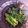 あやかじょー's cooksnap of when they made 小松菜のごまあえ.