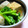 mikkusan's cooksnap of when they made 美味しい☆生揚げと里芋のオイスターソース煮.