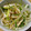 チヒナコ's cooksnap of when they made ねぎたっぷり！ささみのからし和え.