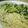 ﾄﾓﾖｼ's cooksnap of when they made 炒めそうめん.