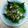 hoocook's cooksnap of when they made 超簡単！安い！！いわしと青ネギ炒め◎.