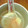 QPはにー's cooksnap of when they made しょうがとレモンのはちみつ漬け.