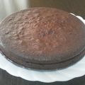 るいｗ's cooksnap of when they made HCMで簡単ガトーショコラ♪.