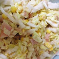 fuma1120's cooksnap of when they made 白菜の簡単生サラダ.