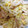 fuma1120's cooksnap of when they made 白菜の簡単生サラダ.