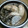 ぐりtoぐら's cooksnap of when they made 鶏手羽元と大根のしょうがスープ煮.