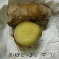 おゆきd^0^b's cooksnap of when they made ショウガの保存方法.