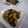 yummysunny's cooksnap of when they made カキの照り焼き.