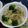 myukitty's cooksnap of when they made かぶとブロッコリーのえのきそぼろあんかけ.