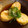 ぷに３７'s cooksnap of when they made だし巻き！卵　in　だし汁.