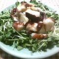 ねっちゃんっ's cooksnap of when they made ***タコとかいわれ大根★サラダ***.