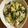 Ｎよんよん's cooksnap of when they made 豆腐と卵の小松菜かにかまあんかけ.