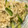 ココアLoveママ's cooksnap of when they made 切り干し大根ときゅうりの生姜入り中華和え.