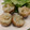 ナカミチ's cooksnap of when they made 超簡単！蒸し器いらずで小籠包.