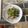 クック890HSE☆'s cooksnap of when they made ひらたけのナムル(きのこならなんでも).