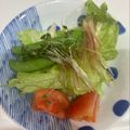 脱ズボラ母さん♡今日のご飯はコレ！'s cooksnap of when they made 冷しゃぶサラダ タレだけレシピ.