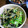 kikikko's cooksnap of when they made 簡単♪安いもやしでお茶漬け風あえ物.