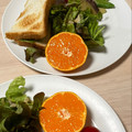 しーてっぷ's cooksnap of when they made ただ、みかんの輪切り添え。.