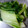 ｍａｍａｒａｄｅ's cooksnap of when they made 白菜とウェイパーだけのお浸し.