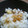 ママフィオ's cooksnap of when they made 変わり筍ごはん　～筍唐揚げの混ぜご飯♪.
