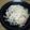 ぐりtoぐら's cooksnap of when they made 簡単☆ツナのクリームスパゲティ.